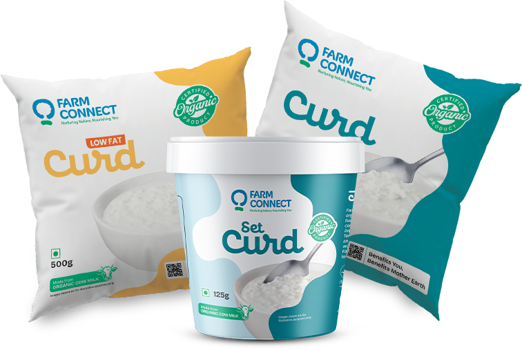 01_home-slider_curd2