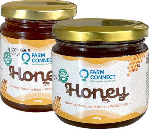 01_home-slider_honey